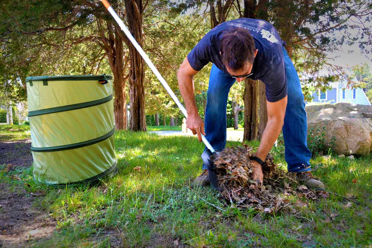Spring Cleaning Yardwork
