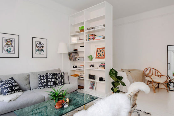 Keep 'Em Separated: Using Shelves as Room Dividers