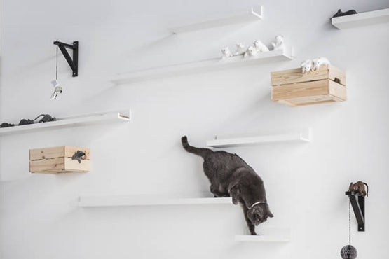 Vertical Shelves for Your Cats