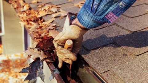 cleaning out leaves in gutters in the fall