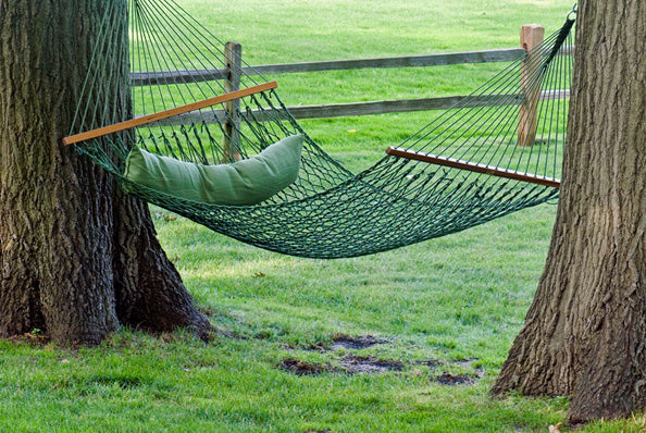 Hammock In Backyard Between Trees