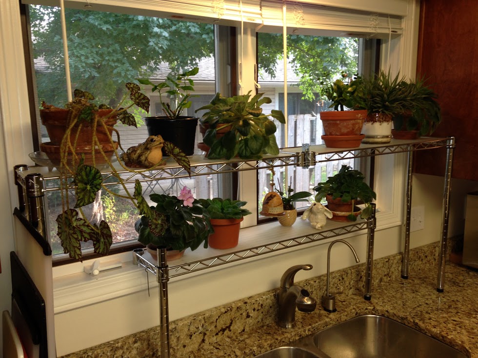 Showing Your #Shelfies Part Duex