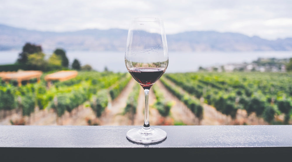 Wine glass sitting on ledge with vineyard, water, and mountains behind it