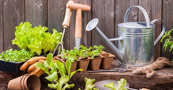 garden supplies