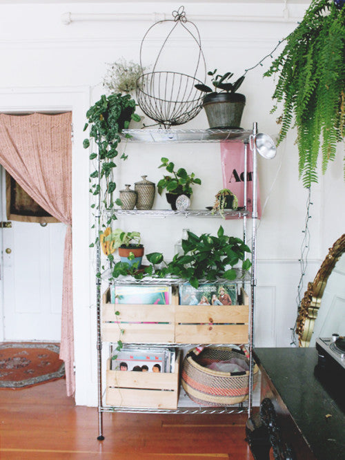 Wire shelving unit with plants