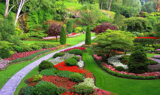Cheap & Easy Landscaping Ideas
