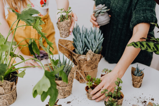 Decorate Your Living Room with Plant Walls