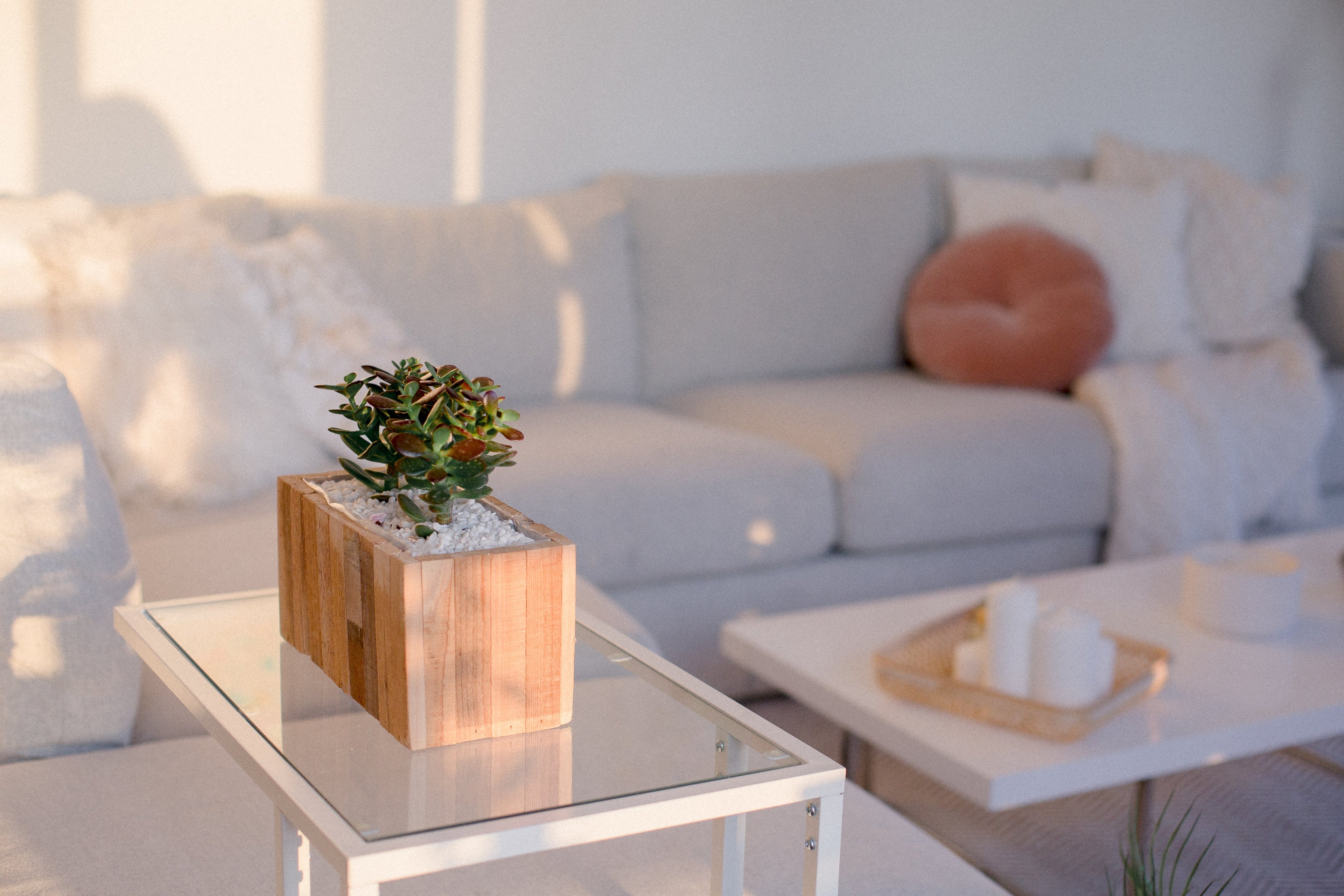 maximize space in living room