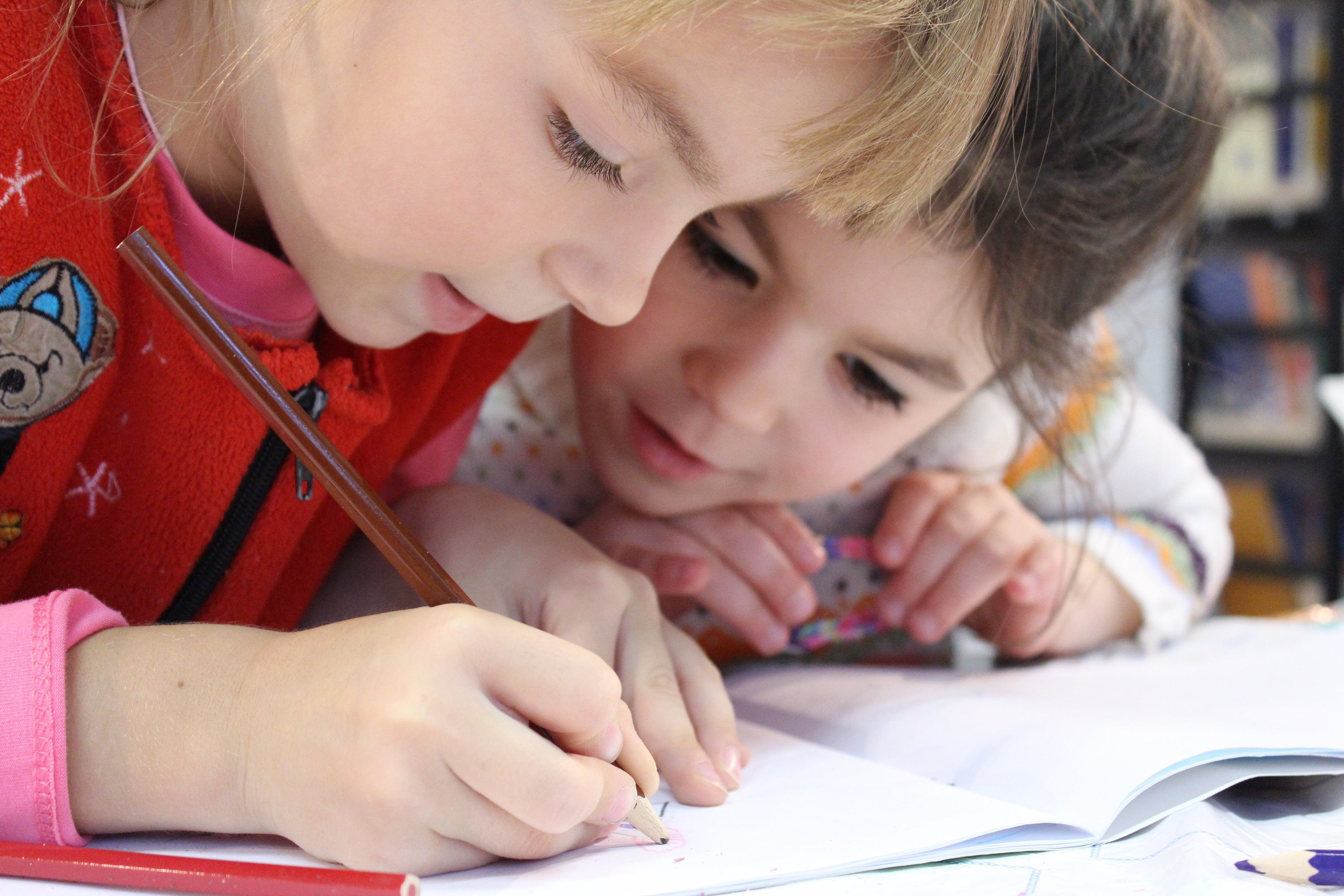 home school organization