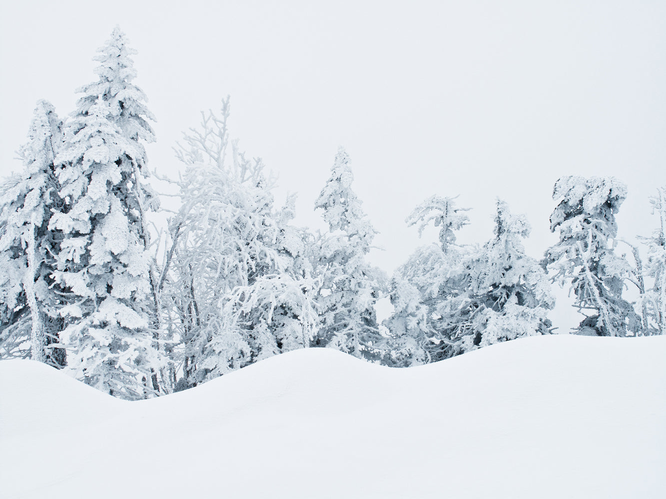 How to Create your Own Winter Wonderland